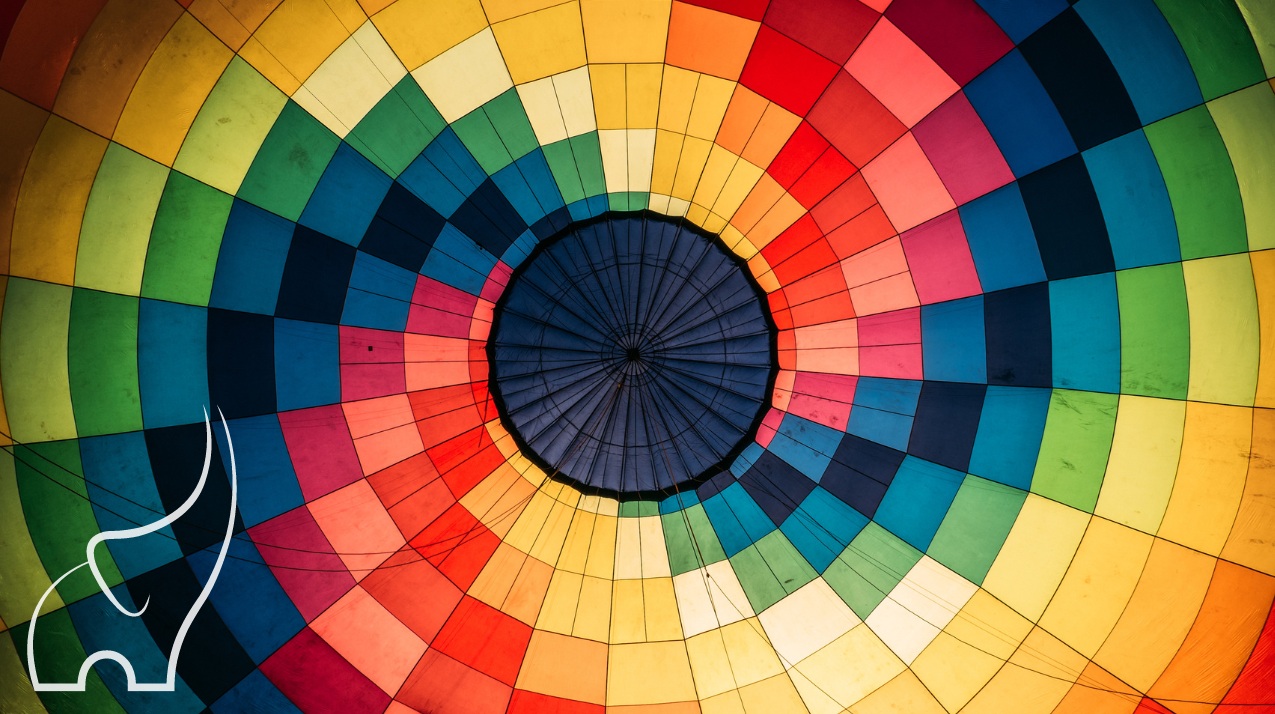 Exploring fully funded studies in France